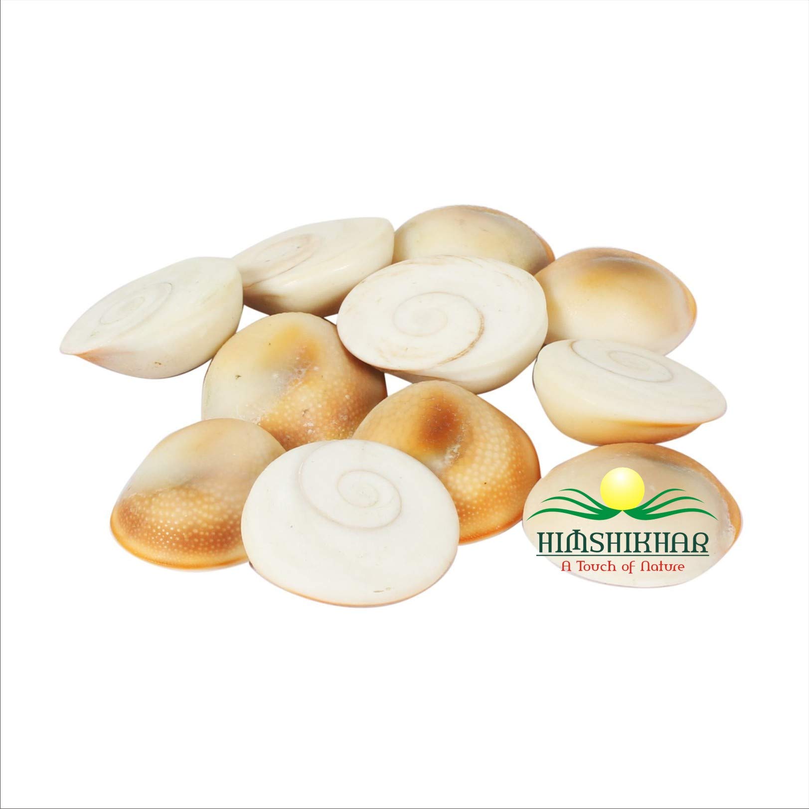 || Himshikhar ||Aquarium seep Stone, gomti Chakra, Pebble Gravel Chips,for Home/Office Aquarium Decoration/Pooja, for Astrological Jewelry for Men & Women, by Green World Pooja Samagri (B07RS2D7Z1) Amazon Price History, Amazon Price Tracker