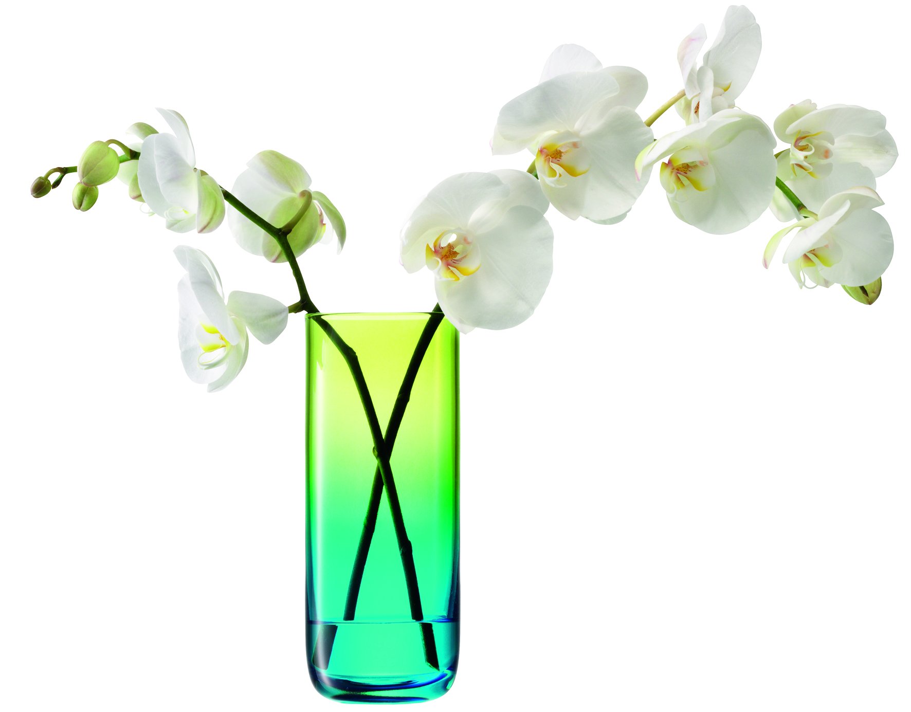 LSAフラワーベース LSA TABLE BOUQUET VASE H17｜HOME DECORATION GIFT | THE