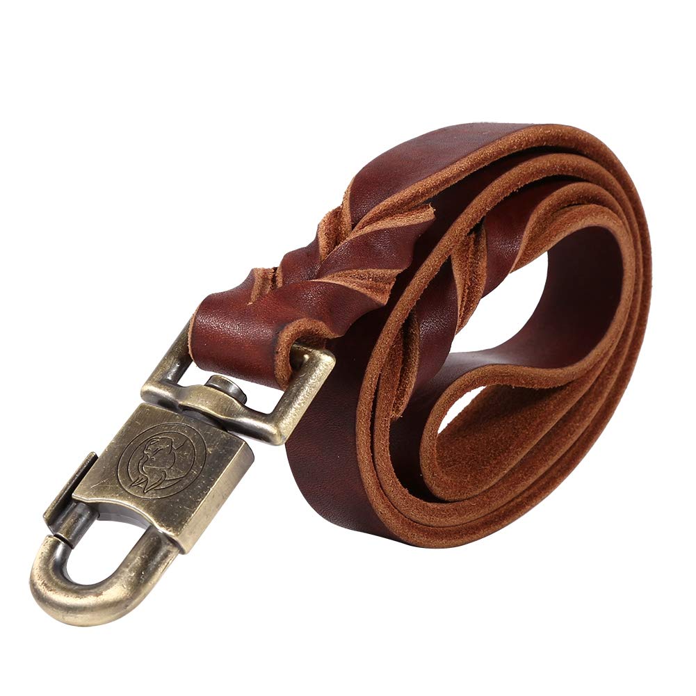 Nikou Correa de Cuero para Perros - Collar y Correa de Cuero Suave para Perros en B-raided 2.5cm Ancho Cadena para Mascotas 90/120/150cm Longitud Alta Resistencia(2.5 * 120CM)