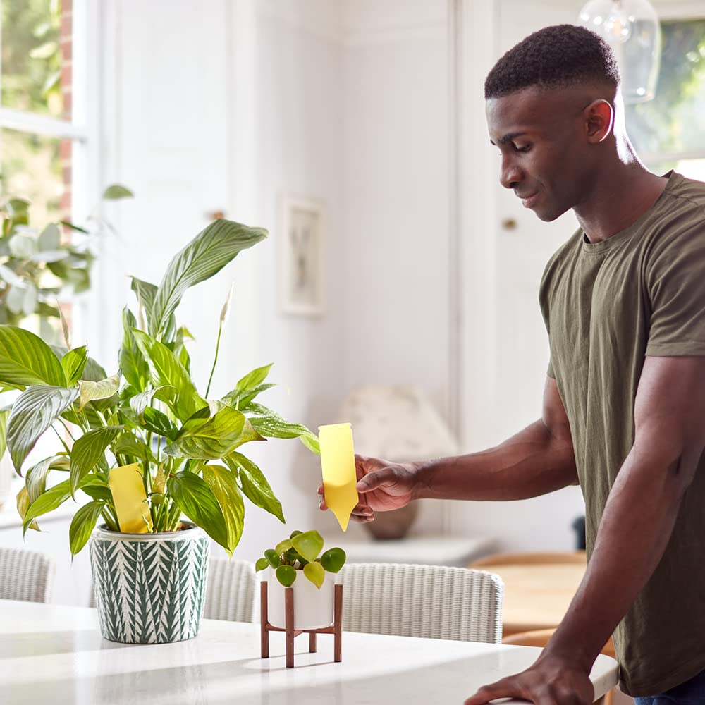 Zero In STV Pot Plant Bug Trap - 5-Pack | Effective Insect & Bug Repellent | Long-Lasting Protection for Indoor & Outdoor Use