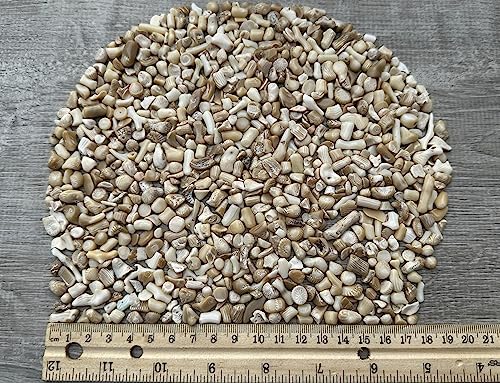 Image of 2 oz Lot Natural Semi Tumbled Gemstone Chips, Crushed Mini Crystals, Undrilled Crystal Chips (White Bamboo Coral)
