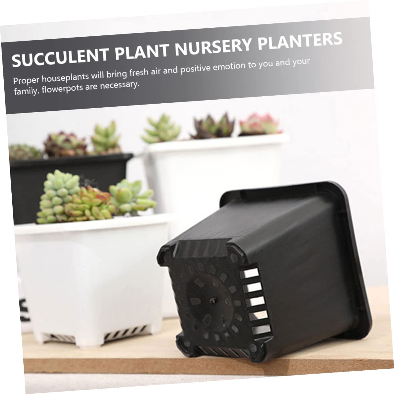 TOYANDONA 30 Pièces Pots de Fleurs Épais Godets de Semis Drainage pour Plantes Bonsai Accessoire de Jardinage