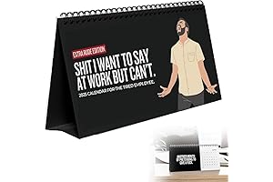 2025 Sarcastic Sh*t I Want to Say at Work Calendar