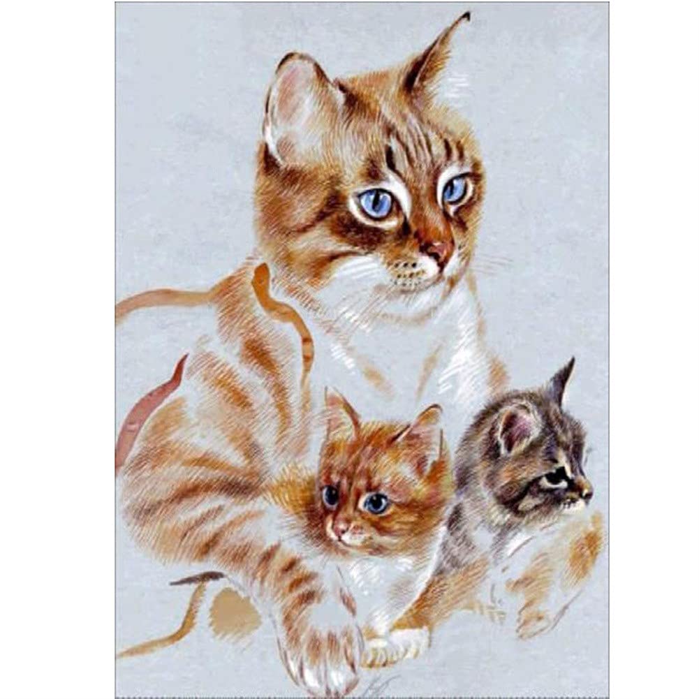 Diamant Peinture 5D Kit Chat, Idée Cadeau Idéale pour Créatifs