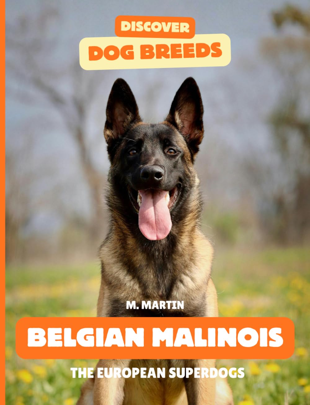 Belgian Malinois: The European Superdogs (Discover Dog Breeds)