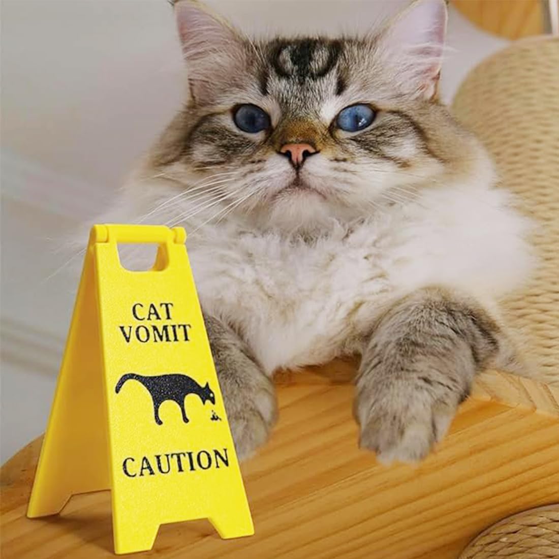 Segnale di vomito di cane, Segnale di vomito di cane divertente Segnale di avvertimento per pavimento bagnato, Segnale di vomito di animale domestico bavaglio in miniatura (B)