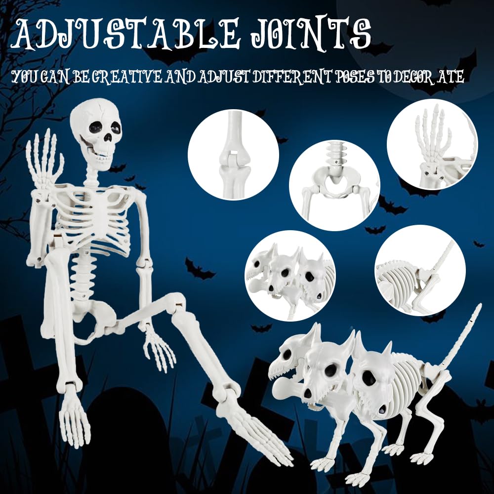 JOLCEEY 1 scheletro mobile per Halloween, 90 cm, realistico, ossa di scheletro umano, articolazioni mobili per tutto il corpo, con scheletro di cane a 3 teste, per oggetti di scena di Halloween