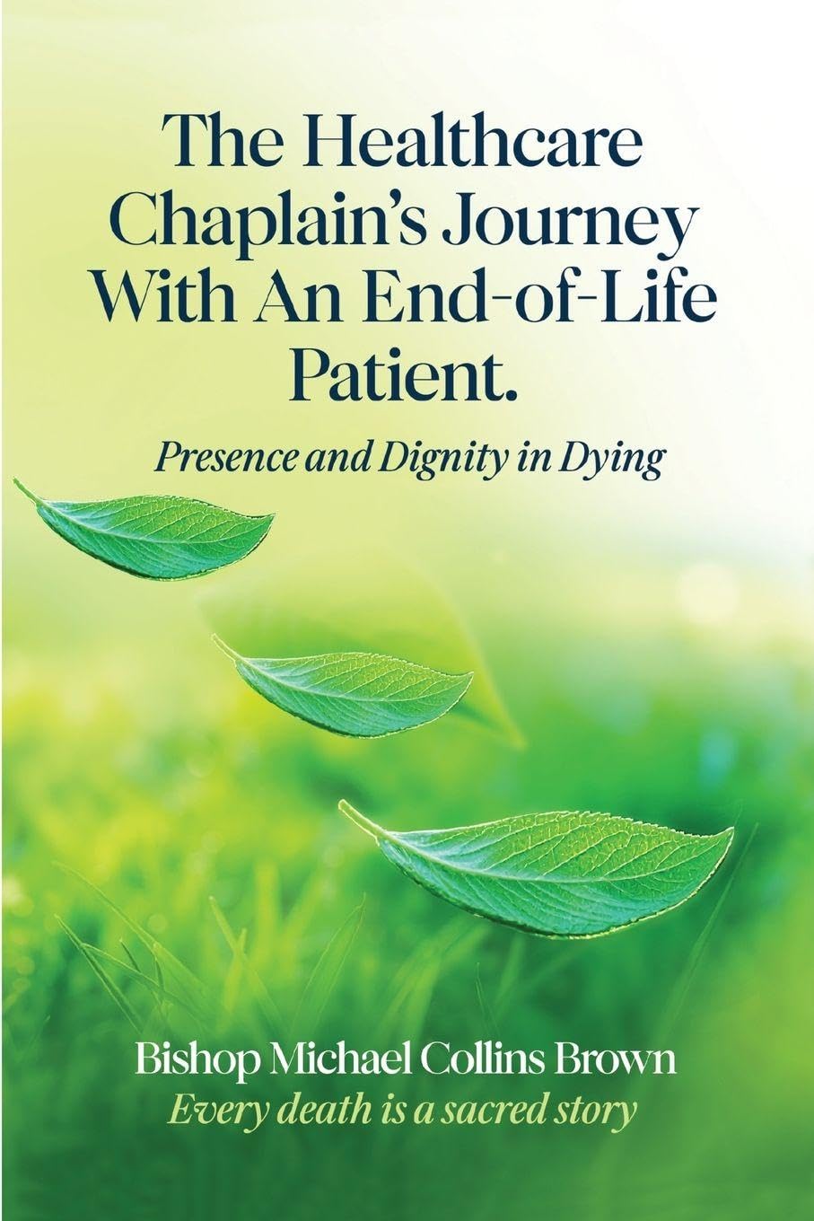 The Healthcare Chaplain's Journey with an End-Of-Life Patient