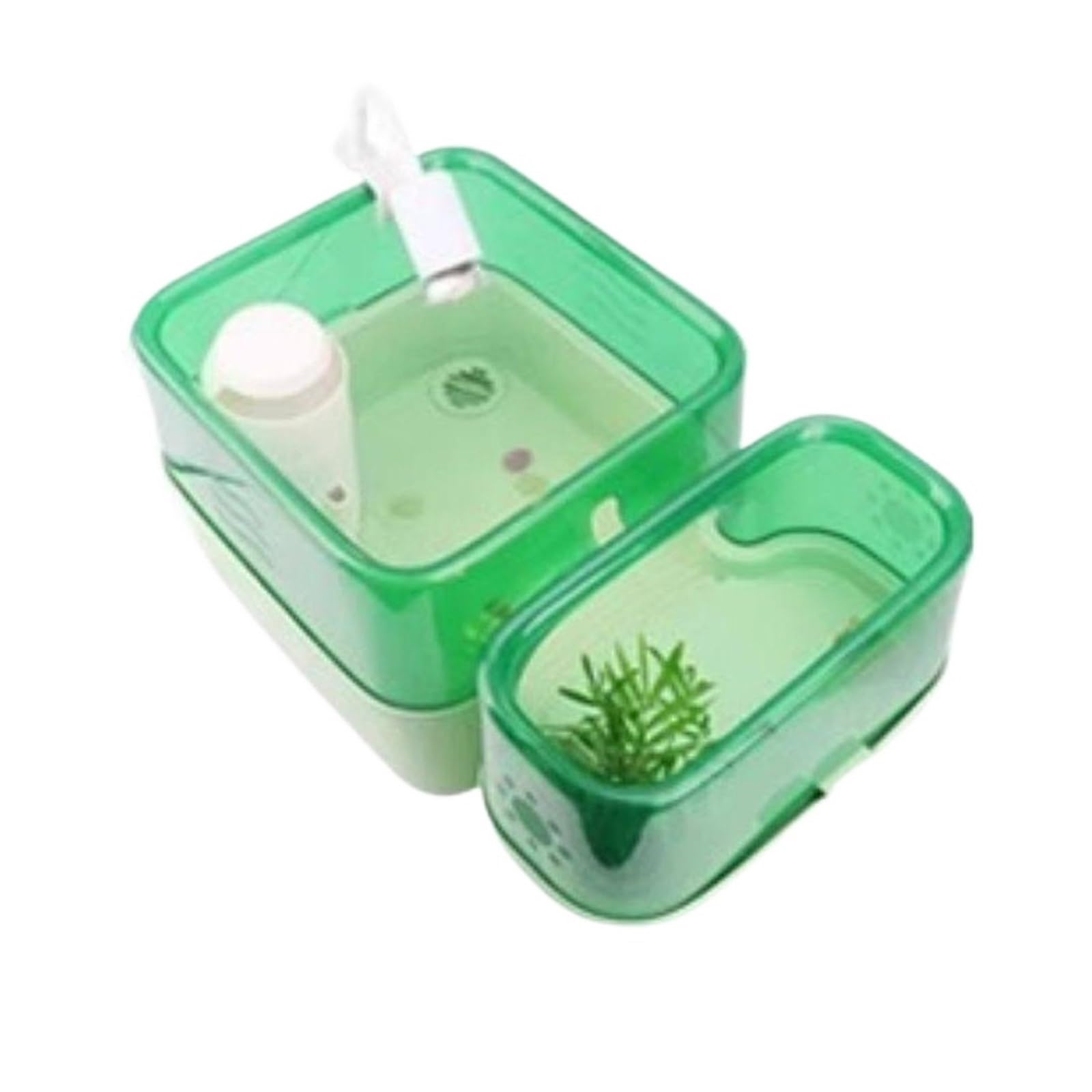 Acuario para Tortugas Tanque de alimentación Tortugas con Drenaje Doble Capa for separación(Pequeño)
