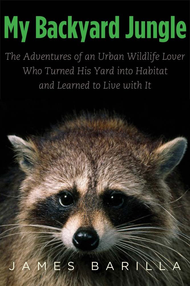 Buy My Backyard Jungle: The Adventures of an Urban Wildlife Lover Who Turned His Yard into Habitat and Learned to Live with It — BookShops.in