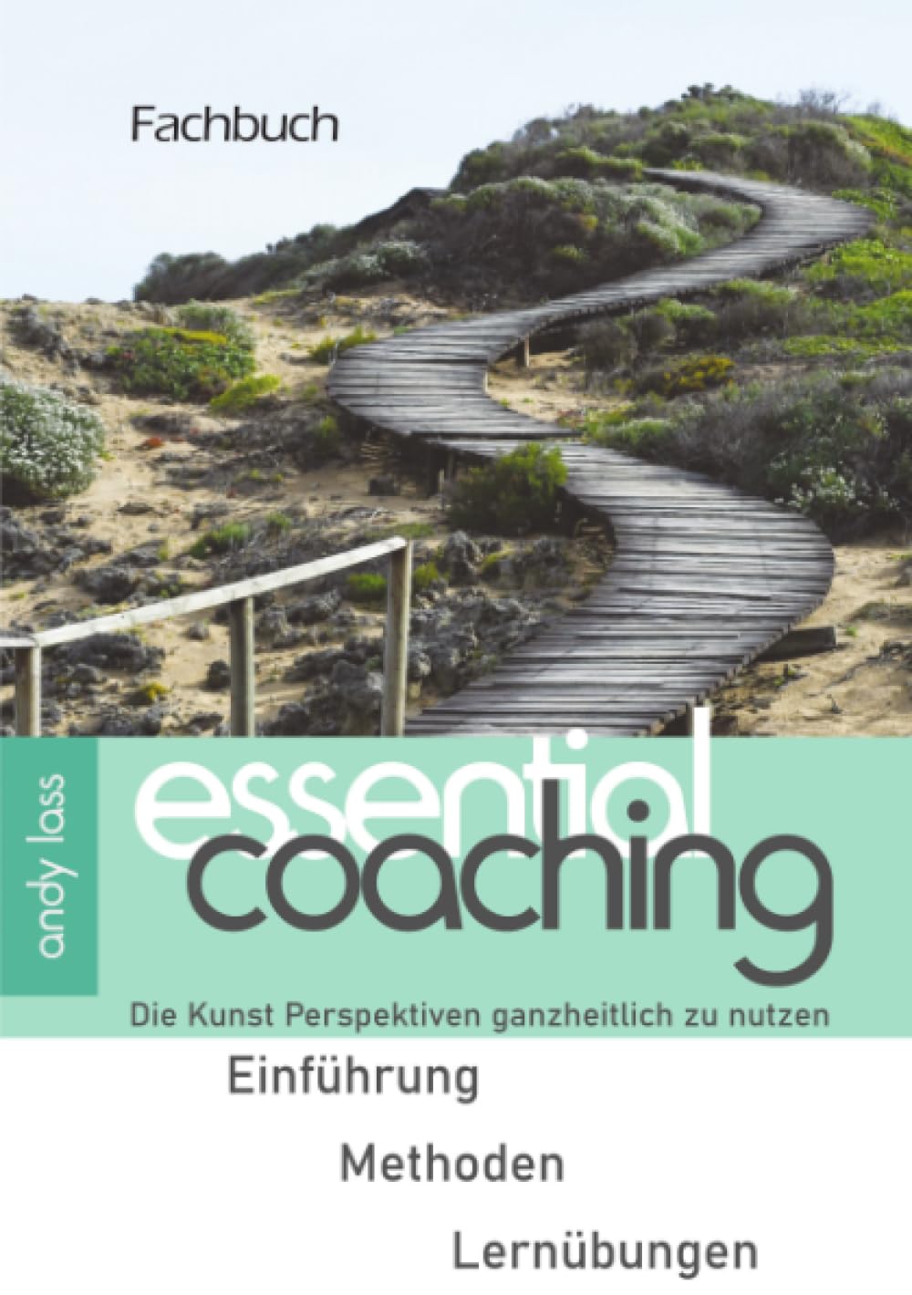 essential coaching: Die Kunst Perspektiven ganzheitlich zu nutzen
