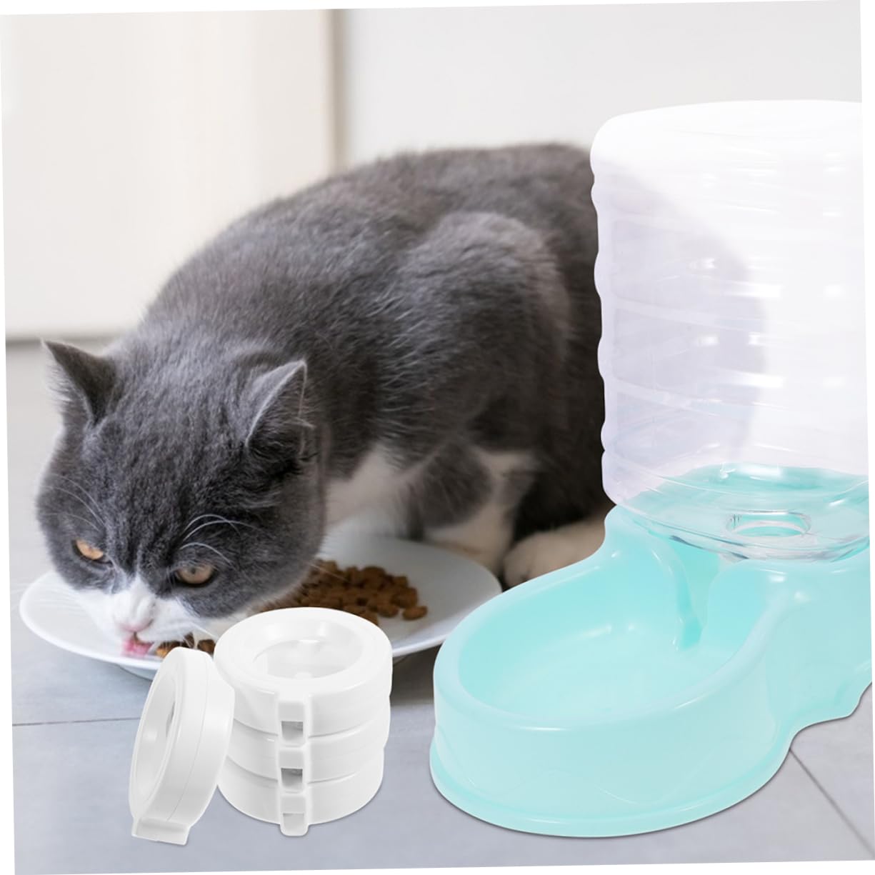 8stücke Ersatzfilter Für Schalenwasserautomaten Hochleistungsaktive Kohlefilter Für Katzenbrunnen Effektive Wasserreinigung Und Verbesserte Trinkgewohnheiten Für Haustiere