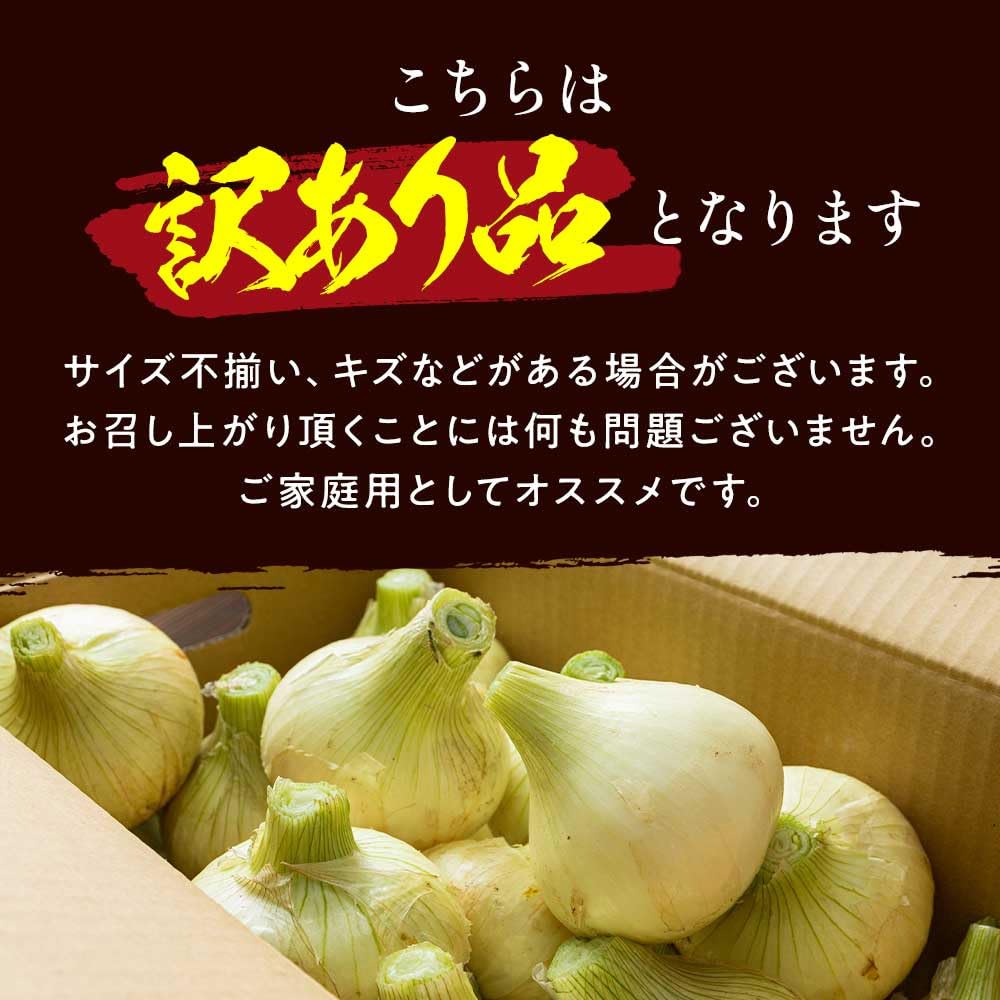 Amazon.co.jp: 今井ファーム 玉ねぎ （訳あり）淡路島たまねぎ 10キロ