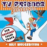  Die wunderbare Reise des kleinen Nils Holgersson mit den Wildgänsen (End Theme)