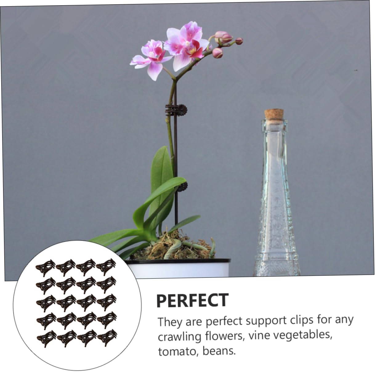 BESTonZON 2 Sätze Orchideen Clips Langlebige Pflanzensicherungsclips Kunststoff Für Gartenbedarf Zur Unterstützung Von Orchideen Und Pflanzenstängeln Braun 150 Stück * 2
