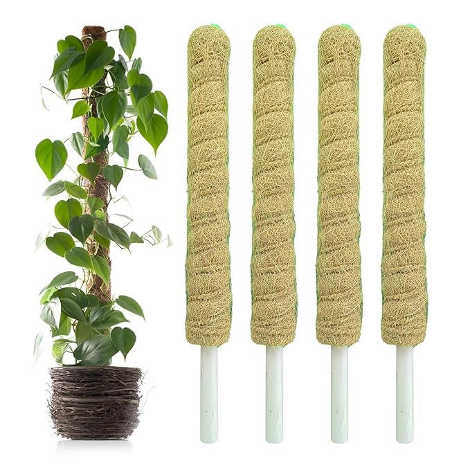 Image of Natural Moss Stick for Climbing Plants, Strong Support for Money Plant, Monstera, Pothos, Indoor Outdoor Use, Manual, 50 Grams (4, 2 Feet)