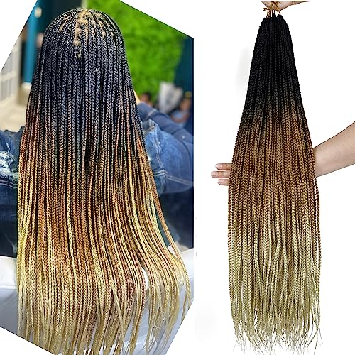 Ombre Blonde Crochet Box Braids Pre Looped...