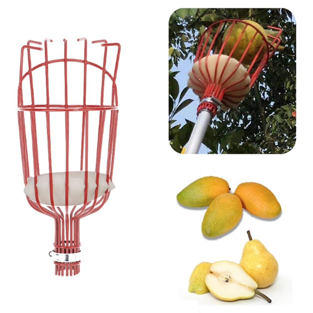 Renquen Cueilleur De Fruits Avec Poteau Télescopique Léger En Aluminium, Outil De Cueillette De Fruits Ou Poteau De Cueillette Darbre A Fruits Avec Panier Fruits 345 X 145 Cm 92161088