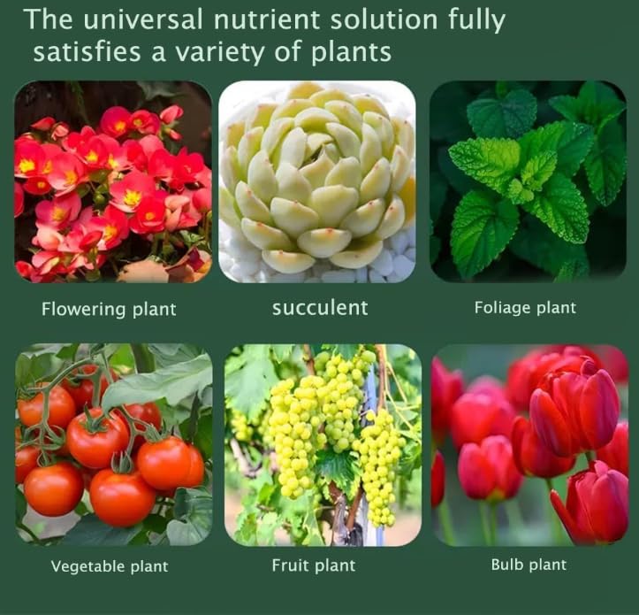 Magic Hydroponic Liquid Fertilizer, Hydroponic Nutrient Solution House Plants, Liquid Concentrated Hydro Garden Fertilizer for Hydroponics System, Potted House Plants, Flowers, Vegetable (6pcs)