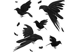 5 Pack Halloween Flying Crows
