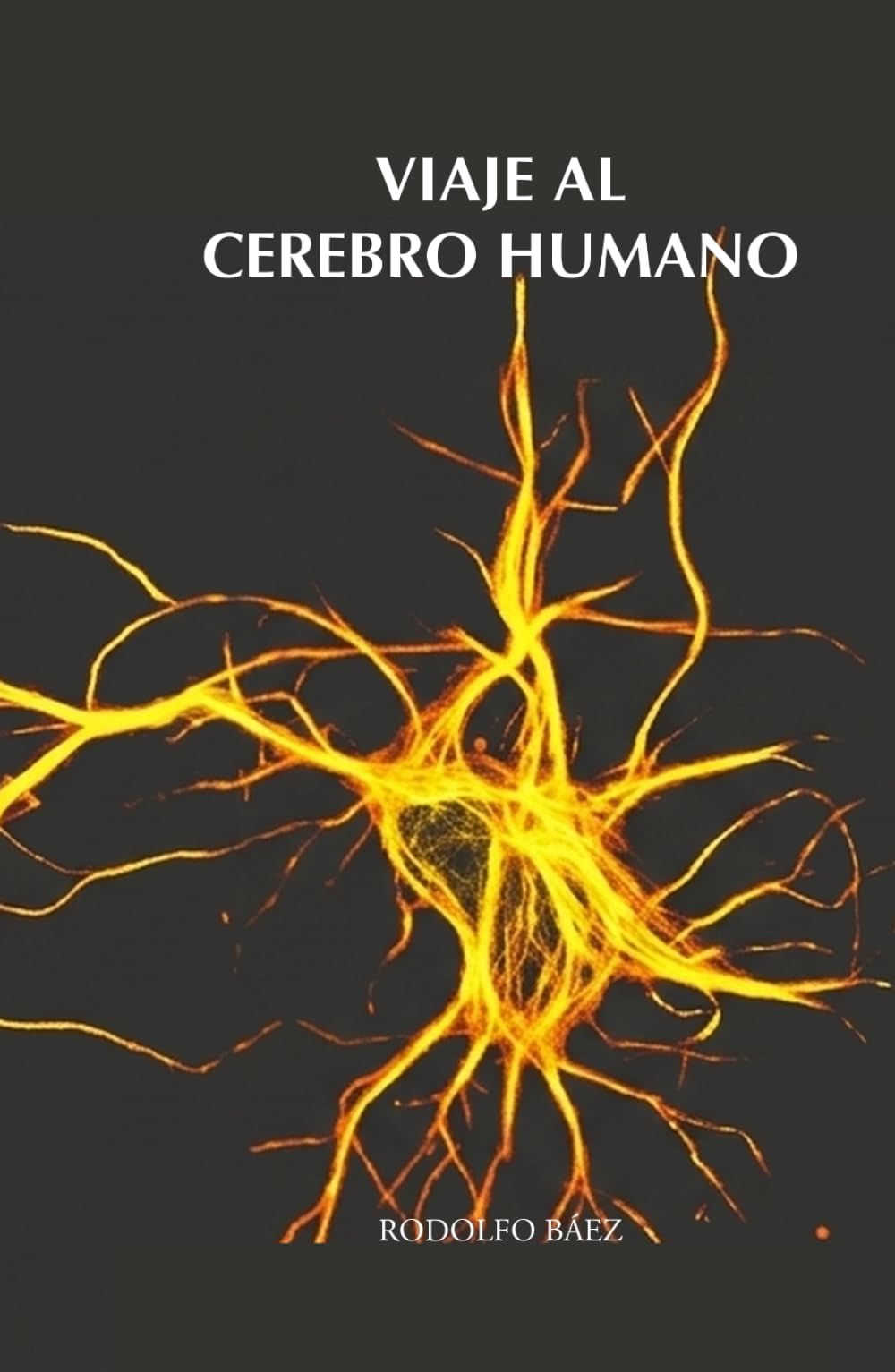 Viaje al cerebro humano