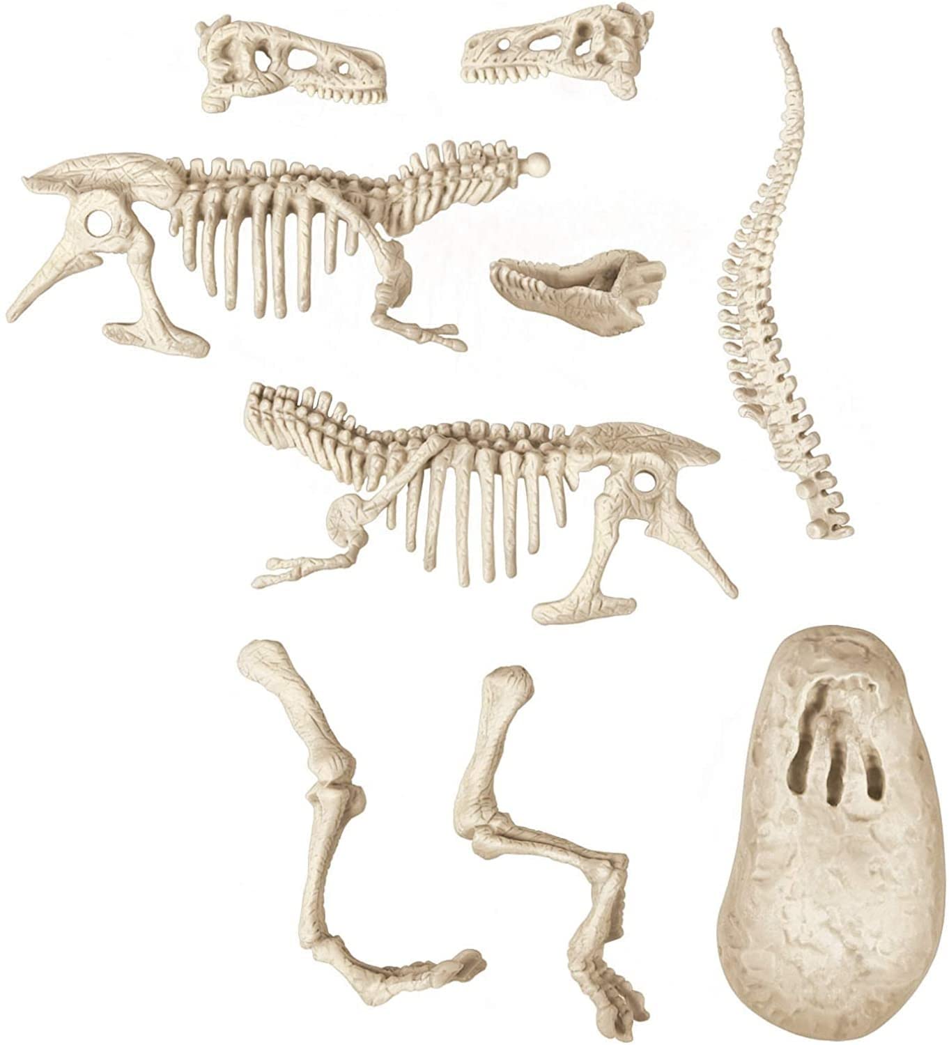 Clementoni Science & Play Lab-Prey And Predators, Dinosauri Kit fossili