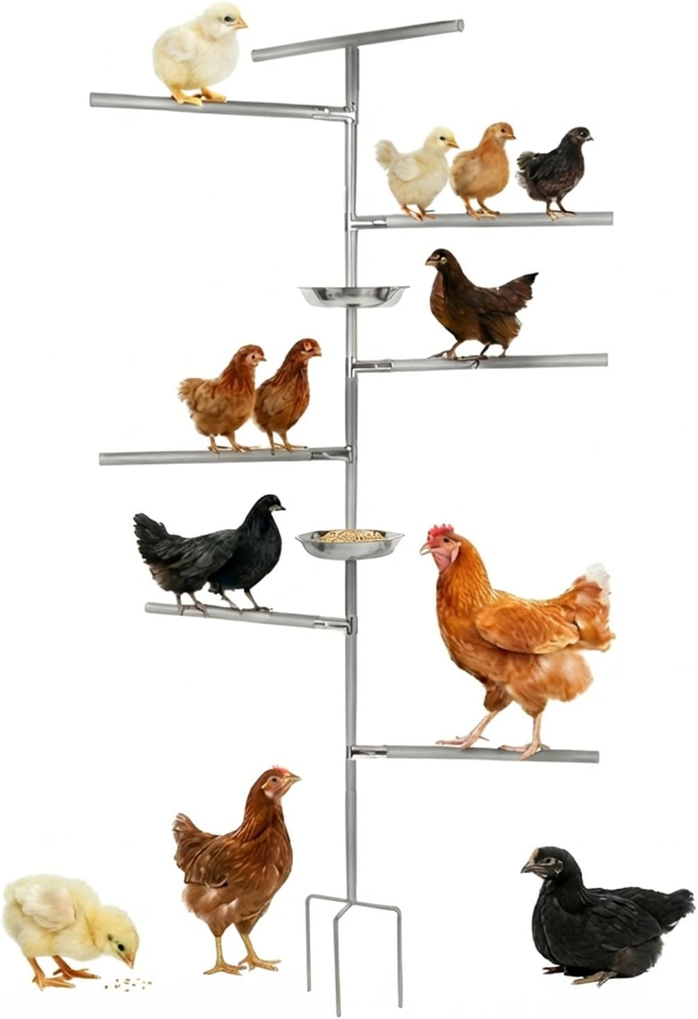 Chicken Perch Toy for Coop,Wooden Chicken Perch Stand with Metal Ground Plug&Feeding Tray,Roosting Bar for Chicken Coop Toys,Chicken Coop Accessories for Bird Parrot Poultry Rooster