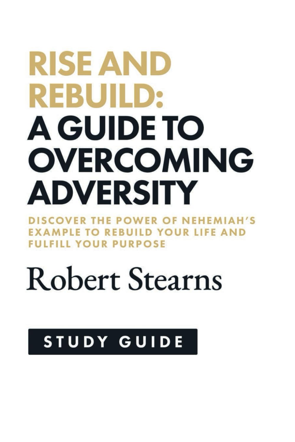 Rise and Rebuild Study Guide: A Guide to Overcoming Adversity