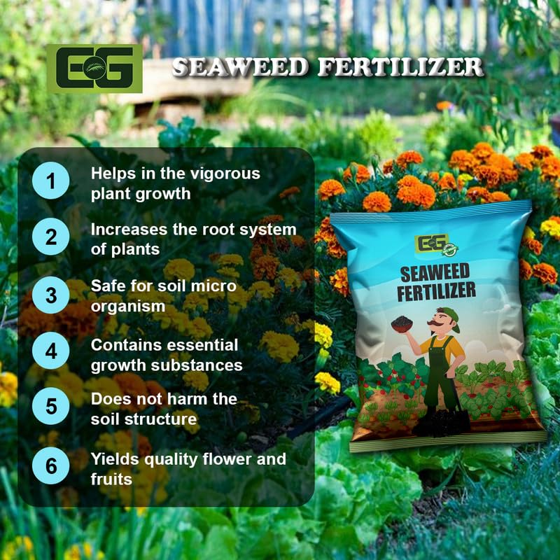 Image of Elamgreen Organic Seaweed Plant Fertilizer | Seaweed Granules for Healthy Home Gardening | Enhances Growth & Flowering in Vegetables, Fruits, and Flowers 5kg