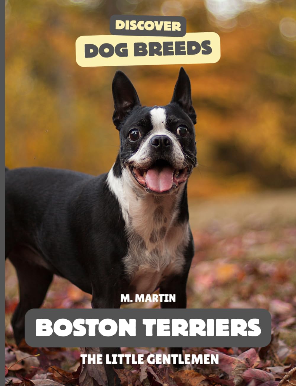 Boston Terriers: The Little Gentlemen (Discover Dog Breeds)