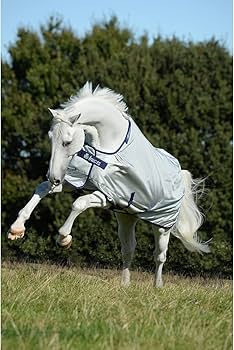 Bucas Power Turnout Medium 150g Ab € 262,75 Im Onlineshop Bei Ströh