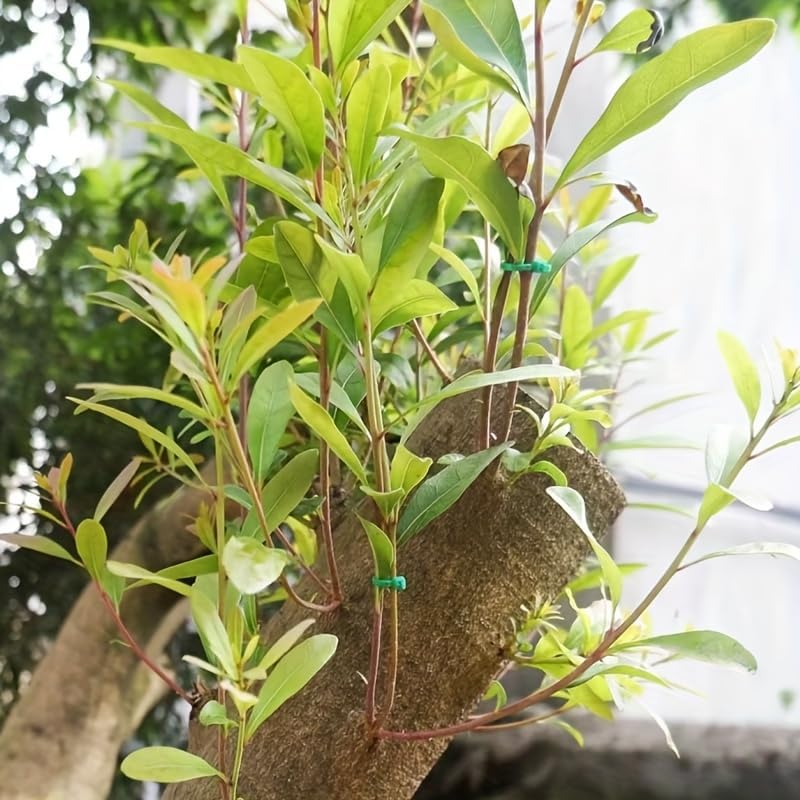 100PCS Reusable Plant Binding Twine Heavy-Duty Nylon Individually Wrapped Garden Straps for Indoor Support and Plant Training, 3x200mm