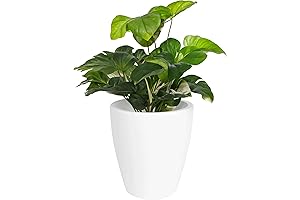 Elly Décor Monstera Planter