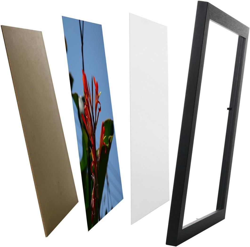 Eucub 25.4x30.5cm Picture Photo Poster Frame 10" x 12"- WOODEN Non Glass Without Mat For Display Certificate/Photo/Picture As Wall Mount Wooden Frame W51012E-BLACK