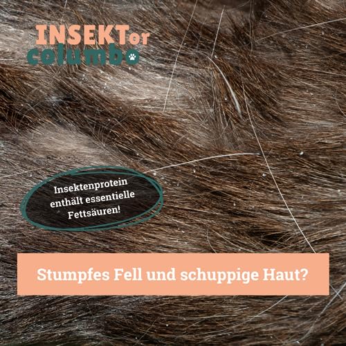 BeG Buddy Insekten Hundefutter, getreidefrei & hypoallergen Insektenfutter Hund - 30% Insektenprotein, Trockenfutter Insekt, Allergie, 750 g