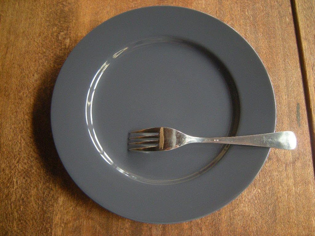 山美濃焼売り切り・グレーパープル リム ディナープレート 9寸（27㎝x2.5㎝）2枚セット レストランホテルうつわ