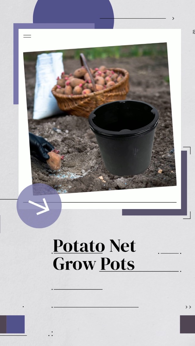 Amazon.com : Sosoport Garden Plant Pot Potato Planter Plant Grow Bucket  Tomato Groeing Pot with Drainage Hole for Vegetables Fruits Flowers :  Patio, Lawn & Garden