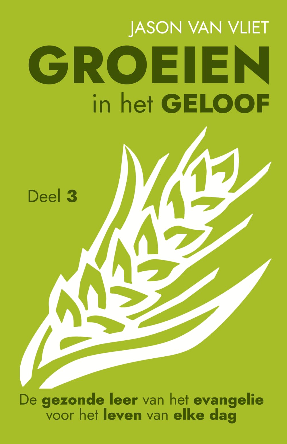 Groeien in het geloof 3: De gezonde leer van het evangelie voor het leven van elke dag
