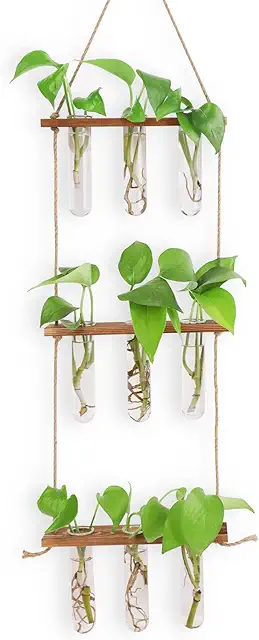 Estación de Propagación de Terrarios de Pared para Plantas Hidropónicas, 3 Niveles con 7 Tubos de Ensayo
