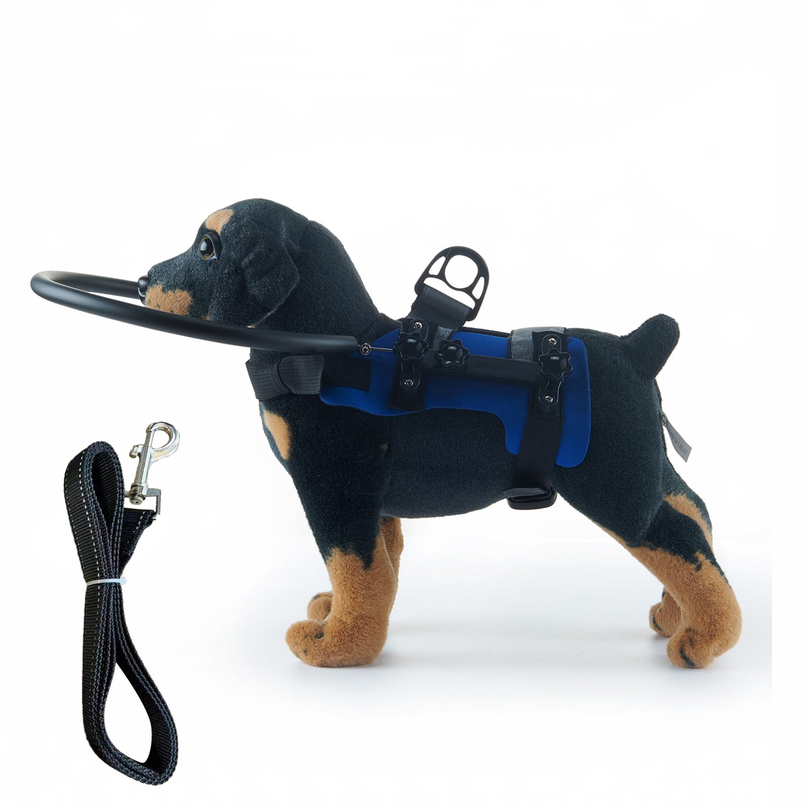 Collier pour animal de compagnie anti-irritation et laisse pour promenades sécurisées sans tirage