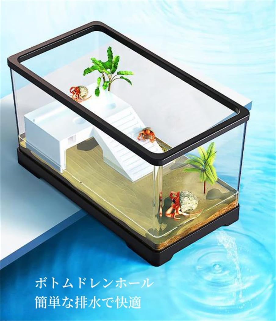 リクガメ飼育セット60センチ水槽 楽天市場】リクガメ 飼育セット（水槽・アクアリウム｜熱帯魚