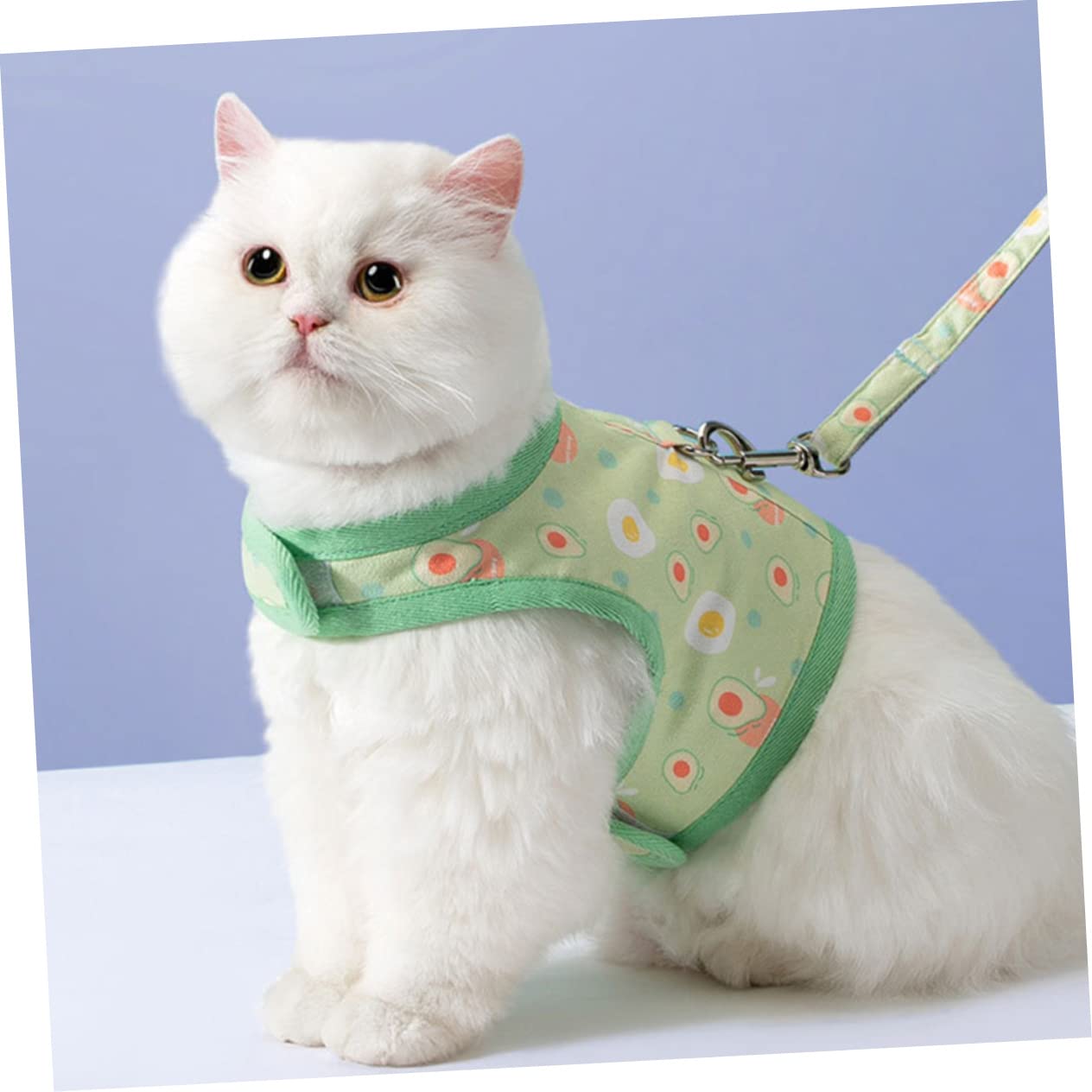HOLIDYOYO 1Set Avocado Pattern Cat Vest Harness with Leash Durable Breathable Kitten Harness for Pets Lightweight and Tear Resistant Design for Walking and