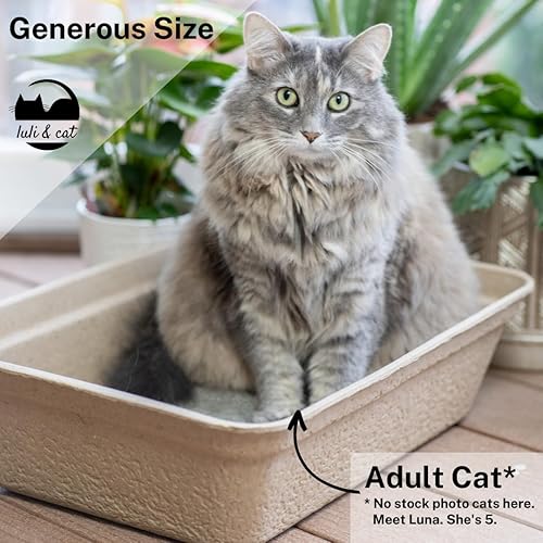 Miniatura 5 de Luli & Cat Cajas de arena desechables para gatos Paquete de 4 unidades de tamaño jumbo Duraderas y resistentes al agua