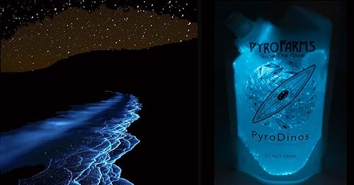 Miniatura 5 de PyroDinos resplandecientes con DinoNutrients - Cultiva plancton bioluminiscente