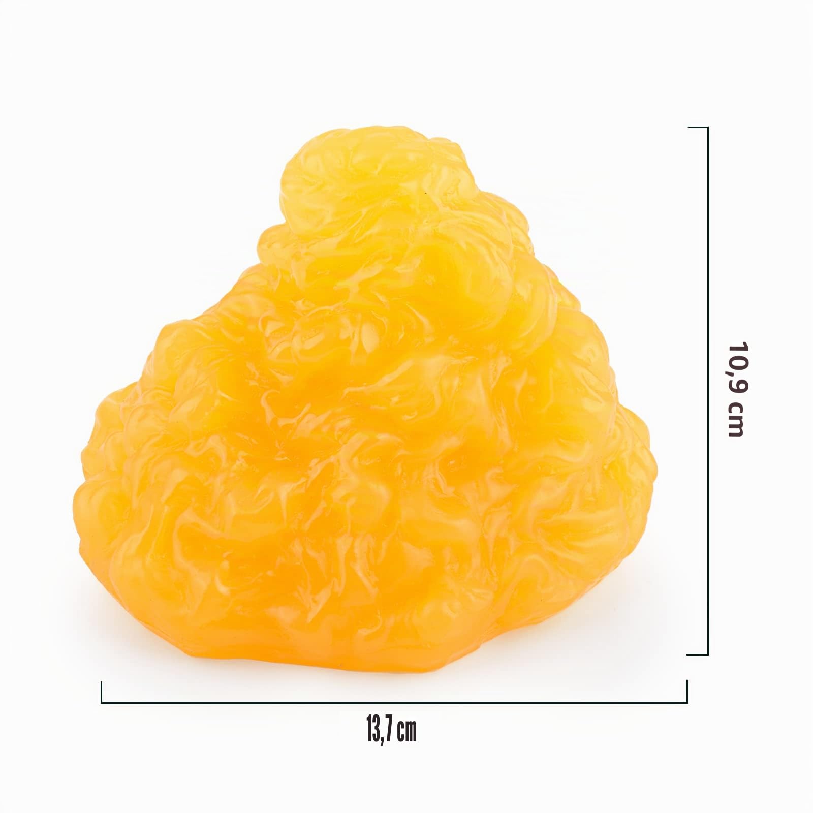 Replica di grasso corporeo umano 1 libbre con base di visualizzazione e replica muscolare 1 libbre, mantenere in forma e perdita di peso motivazione e promemoria per studenti di anatomia e fisiologia