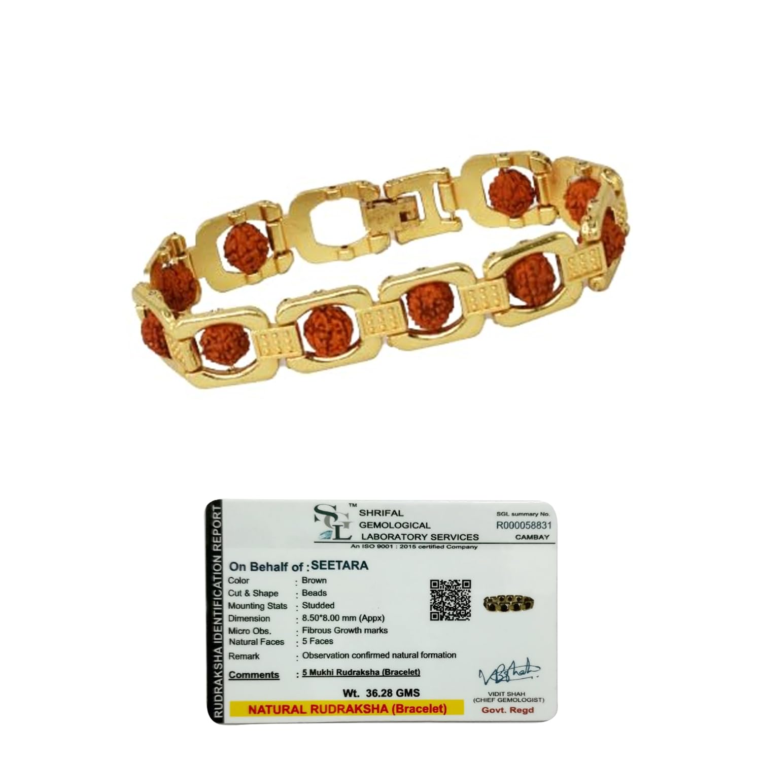 Seetara Gold Plated Rudraksha Bracelet with Gangajal, Vibhuti| Gold Plated | 5 Mukhi | Rudraksha Bracelet for Meditation and Prayer for Men & Women | Free Size, 8.5 Inches Long (B0CZL81B9C) Amazon Price History, Amazon Price Tracker