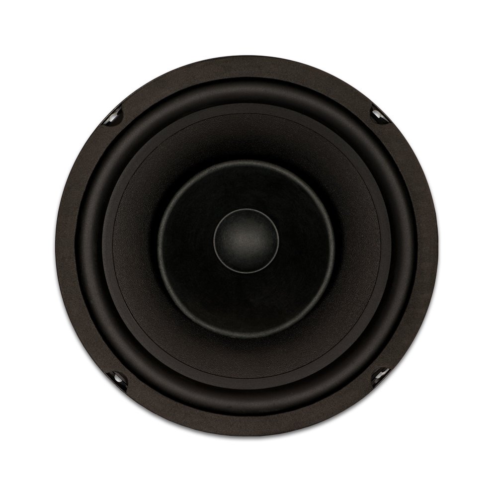 Amazon.com: Goldwood Sound GW-8003/8 Full Range 8