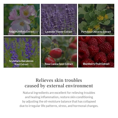 Miniatura 5 de Máscara de modelado Premium Rosa & Cica - Cuchara medidora y espátula incluidas, 0.88 oz x 5 ea, efecto refrescante, hidratación, mejora la barrera