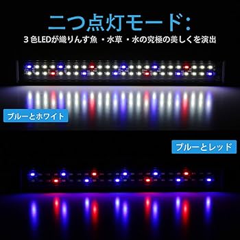 LED水草ライト 多色 3ファン Amazon.co.jp: しんちんちん LEDアクアリウムライト 水槽 ライト