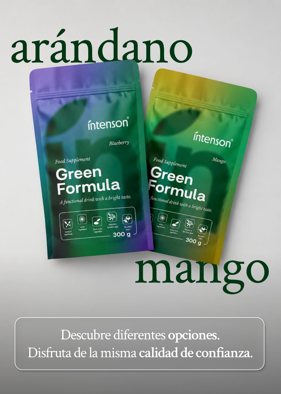 Intenson Green Formula, Arándanos, Super Greens Powder, 300 g | Mezcla de Superalimentos con Chlorella, Espirulina, Ashwagandha con OPC y Moringa, Sin Azúcar, Naturalmente Endulzado